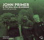 That Will Never Do - John  Primer  /  Real Deal Blues Band
