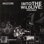 Into The Wild Live Chicago - RSD 2016 Release - Halestorm