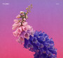 Skin - Flume