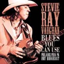 Blues You Can Use - Stevie Ray Vaughan 