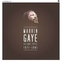Volume Three: 1971-1981 - Marvin Gaye