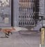 The Getaway - Red Hot Chili Peppers - bigger The Getaway - Red Hot Chili Peppers