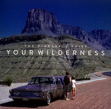 Your Wilderness - The Pineapple Thief 