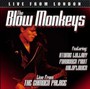 Live From London - Blow Monkeys