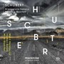 Arpeggione Sonata & Strin - F. Schubert