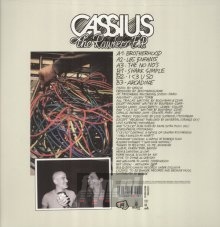 Rawkers - Cassius