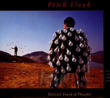 Delicate Sound Of Thunder: Live - Pink Floyd