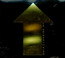 Looking Up - Xola