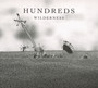 Wilderness - Hundreds