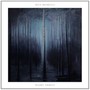 Night Forest - Ilya Beshevli