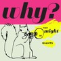 Why - They Might Be Giants