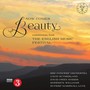 Now Comes Beauty - BBC Concert Orchestra - Now!   