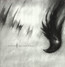 Ashes Against The Grain - Agalloch