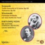 Romantic Violin Concerto 20 - Bartomiej Nizio