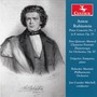 Anton Rubinstein: Piano Concerto No. 1 Don Quixote - Rubinstein  /  Zamparas  /  Bohuslav Martinu Phil