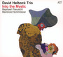 Into The Mystic - David Helbock Trio 