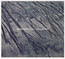 Tender Extinction - Steve Jansen Tender Extinction - Steve Jansen
