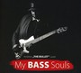 My Bass Souls - Andrew Lauer