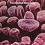 Body Samples - Controlled Bleeding Body Samples - Controlled Bleeding