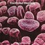 Body Samples - Controlled Bleeding Body Samples - Controlled Bleeding