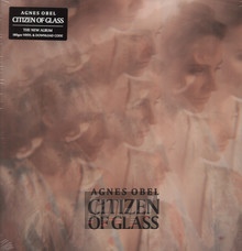 Citizen Of Glass - Agnes Obel