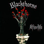 Afterlife - Blackthorne