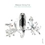 Ants Bees & Butterflies - Modular String -Trio-