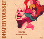 Diwan Of Beauty & Odd - Dhafer Youssef