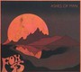 Ashes Of Man - Fox 45