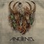 Voice Of The Void - Anciients