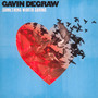 Something Worth Saving - Gavin Degraw