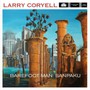 Barefoot Man;Sanpaku - Larry Coryell