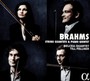 Streichquartette/Piano - J. Brahms