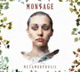 Metamorphosis - Montage