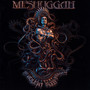 The Violent Sleep Of Reason - Meshuggah