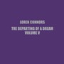 Departing Of A vol.VI - Loren Connors