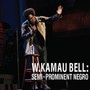 Semi-Prominent Negro - W Kamau Bell .