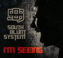I'm Seeing - South Blunt System