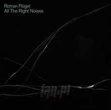 All The Right Noises - Roman Flugel