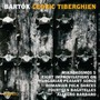 Mikrokosmos 5 - Bartok  / Cedric  Tiberghien 