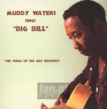 Sings Big Bill Broonzy - Muddy Waters