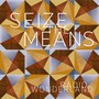 Seize The Means - Radio Wonderland