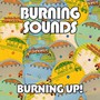 Burning Up - V/A