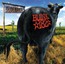 Dude Ranch - Blink 182