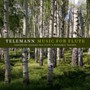 Flute Concertos - G.P. Telemann