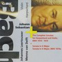 Johann Sebastian Bach: The Complete Sonatas For Harpsichord - Johannes Leertouwer  /  Menno Van Delft