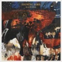 Black Opal - Shining Bird