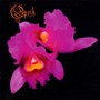 Orchis-LTD.Coloured - Opeth