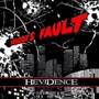 Nobody's Fault - Hevidence