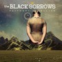 Faithful Satellite - Black Sorrows